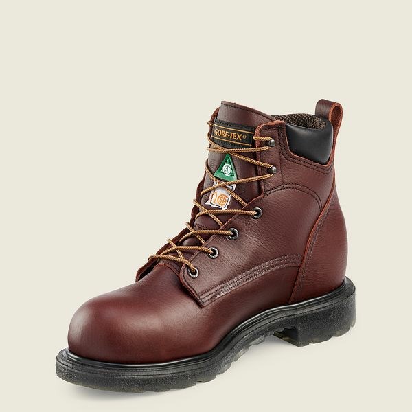 Brown Red Wing SuperSole 2.0 6-inch Waterproof CSA Men's Safety Toe Boots | US0000111