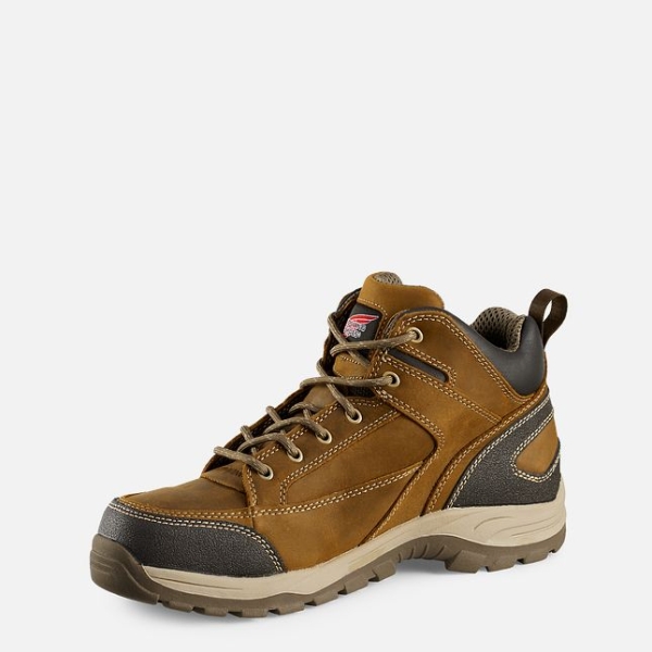 Brown Red Wing Truhiker 5-inch Hiker Men's Work Boots | US0000284